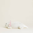 Axolotl Warmies Stuffed Animal