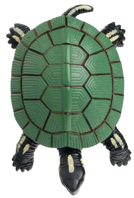 Turtle Squishamals Toy