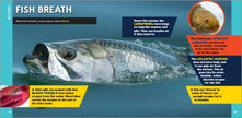Fascinating Ocean Book for Kids