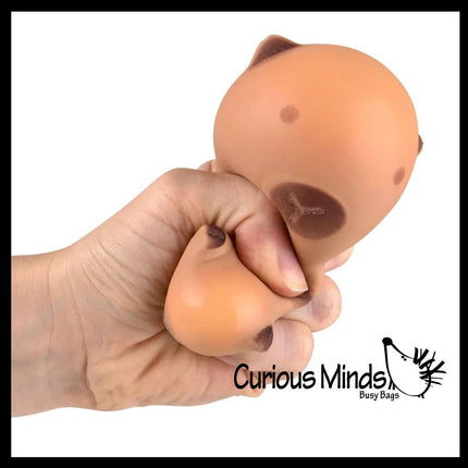 Soft Doh Capybara Animal Stress Balls Ultra Soft Kneadable Toy