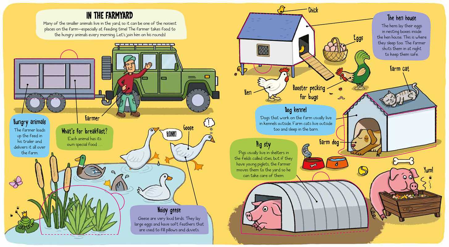 Little Explorers: The Farm Book