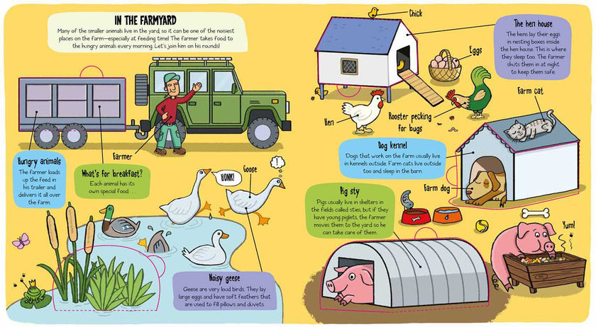 Little Explorers: The Farm Book