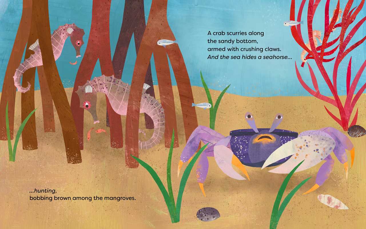 Sea Hides a Seahorse Hardcover Book
