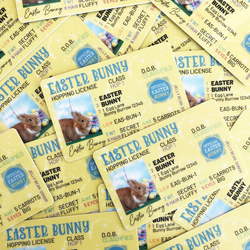 Easter Bunny Lost Hopping License/Unpackaged