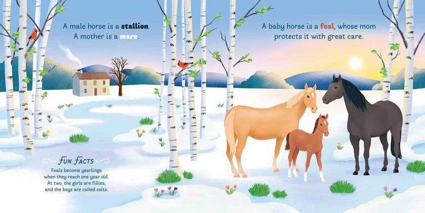 Little Genius Horses Board Book