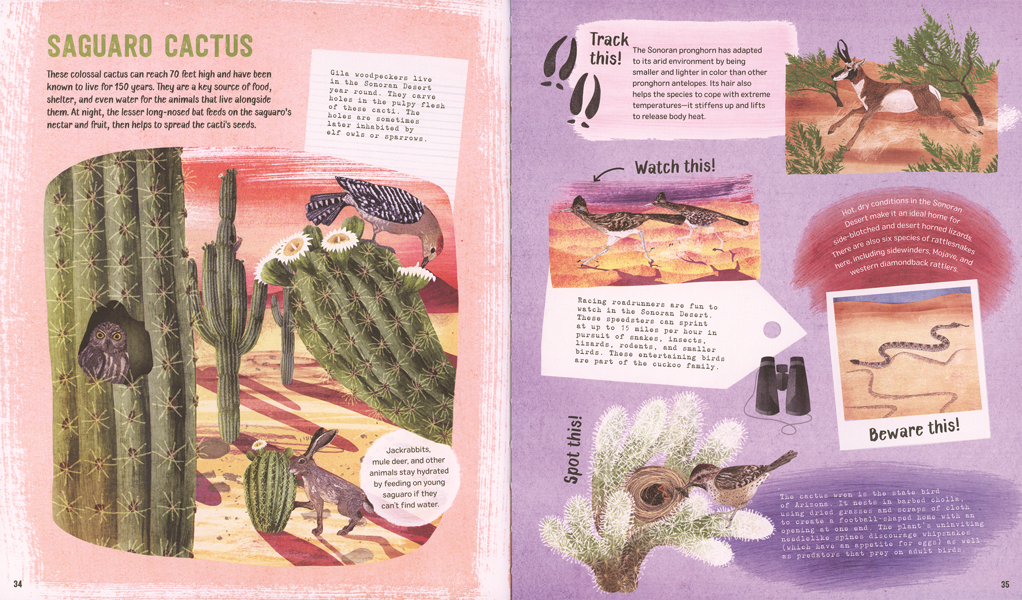 Explore! America's Wildlife Hardcover Book