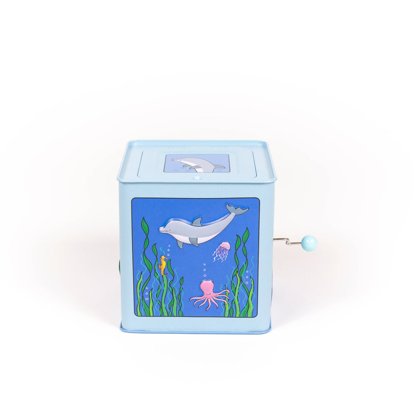 Dolphin Jack in the Box