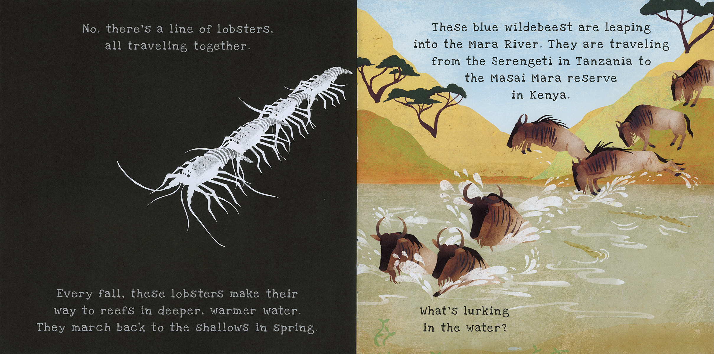 Shine-A-Light: Animal Journeys Hardcover Book