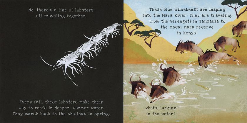 Shine-A-Light: Animal Journeys Hardcover Book