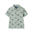 Boys Short Sleeve Cabana Set | Green Stripe Dino