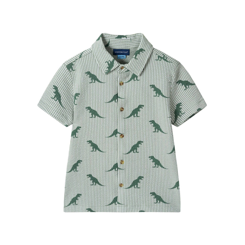 Boys Short Sleeve Cabana Set | Green Stripe Dino