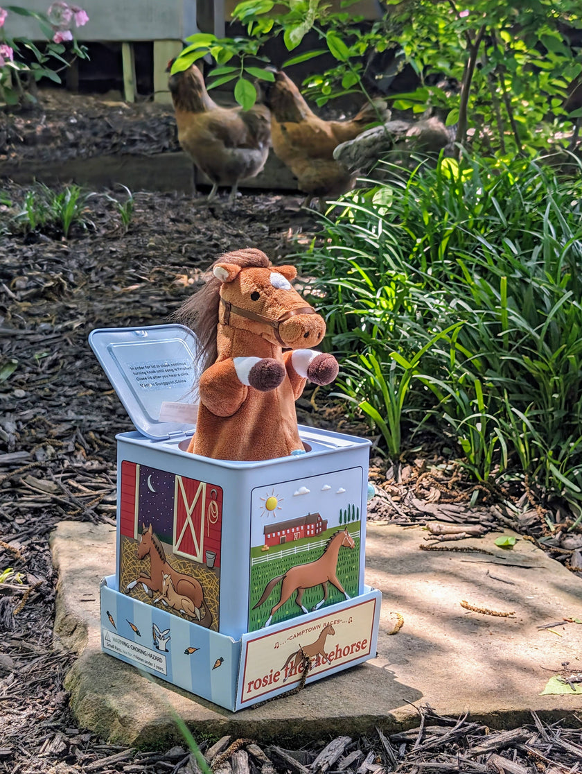 Rosie the Racehorse Jack in the Box Toy