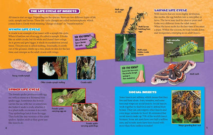 Bugs and Spiders Hardcover Book