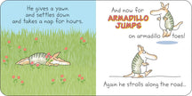 But Not the Armadillo Board Book