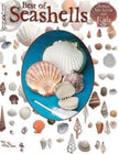 Best of Seashells Paperback Book