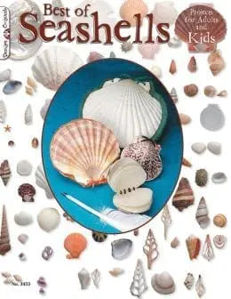 Best of Seashells Paperback Book
