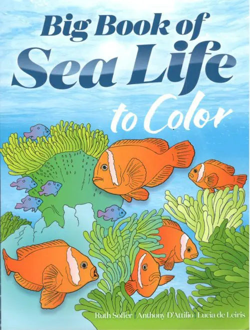 Big Book of Sea Life to Color Paperback Coloring Book