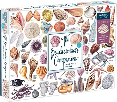 Beachcomber's Companion Puzzle Toy