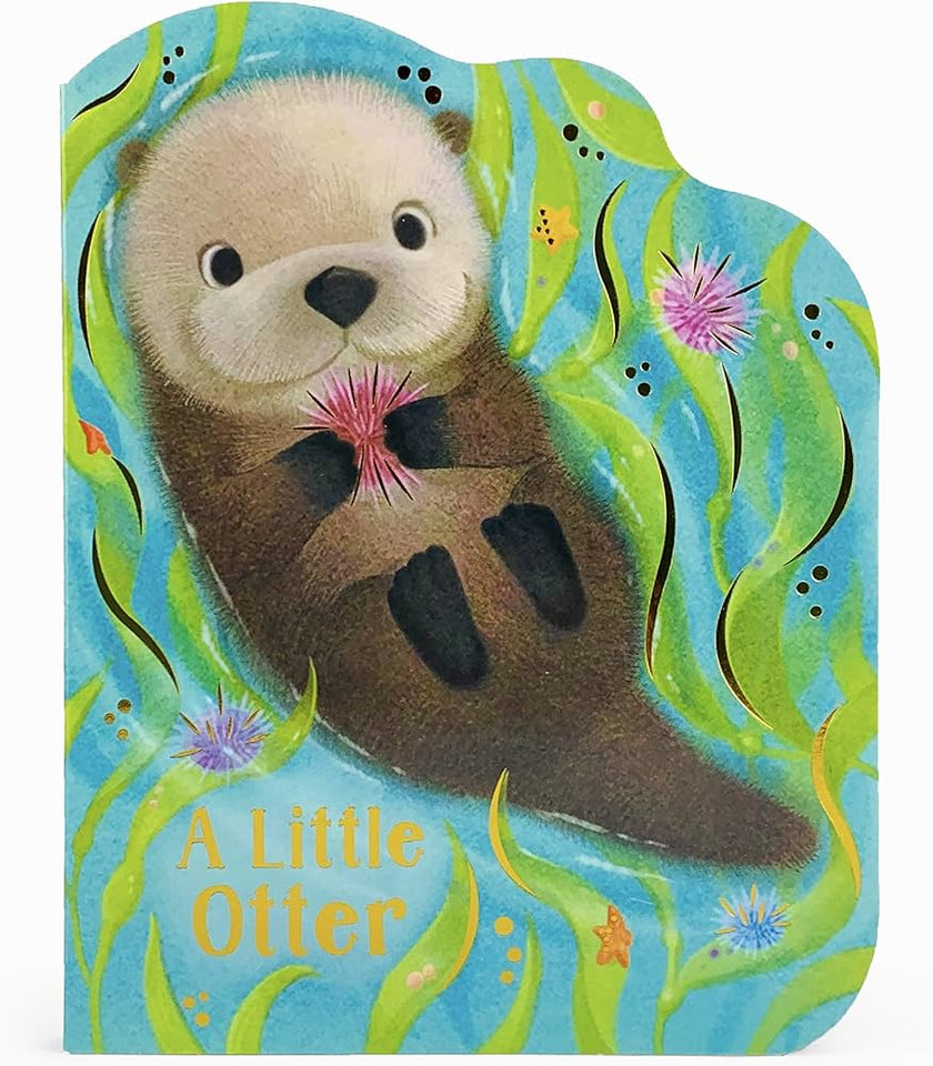 Little Otter Board Book