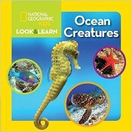 National Geographic Ocean Creatures Look & Learn Book