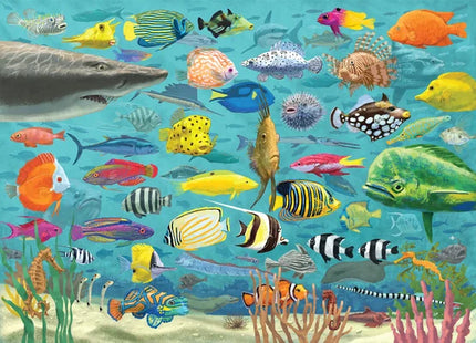 Puzzle 1000 Pieces-All the Fish Toy