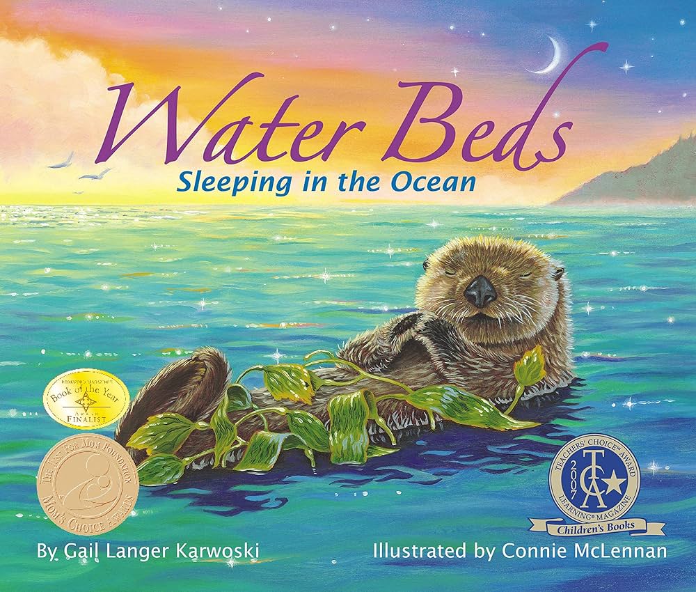 Water Beds - Sleeping in the Ocean Paperback Book