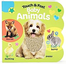 Touch and Feel Baby Animals Board Book