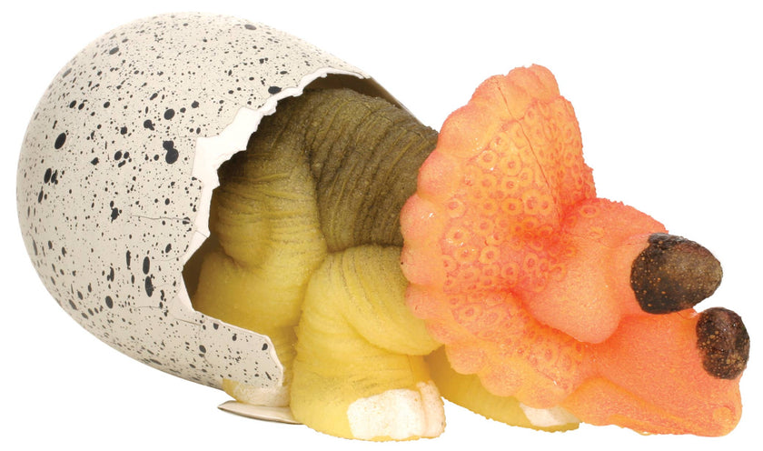 Ginormous Grow Dino Egg Toy