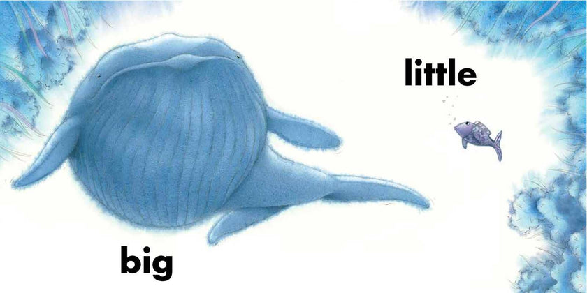 Rainbow Fish Opposites Board Book