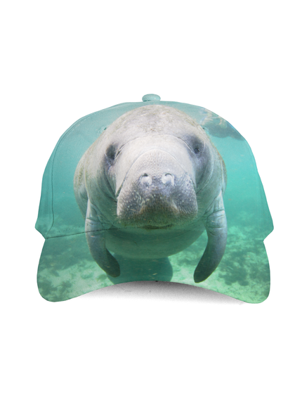 Manatee Kids Cap