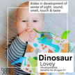 Dinosaur Learning Lovey Crinkle Tag Sensory Toy 8