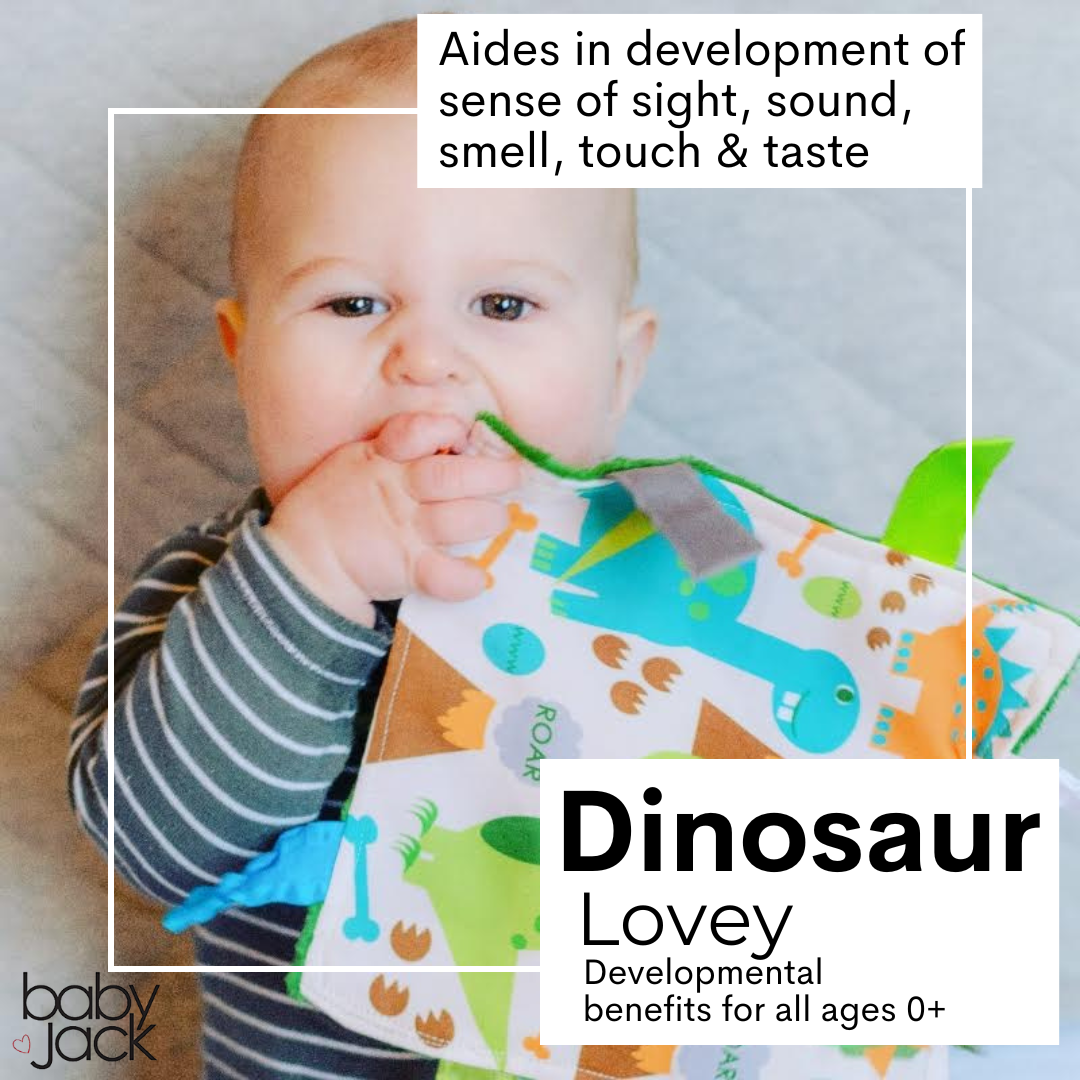 Dinosaur Learning Lovey Crinkle Tag Sensory Toy 8