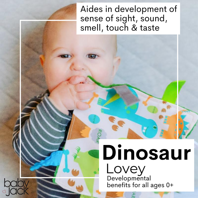 Dinosaur Learning Lovey Crinkle Tag Sensory Toy 8