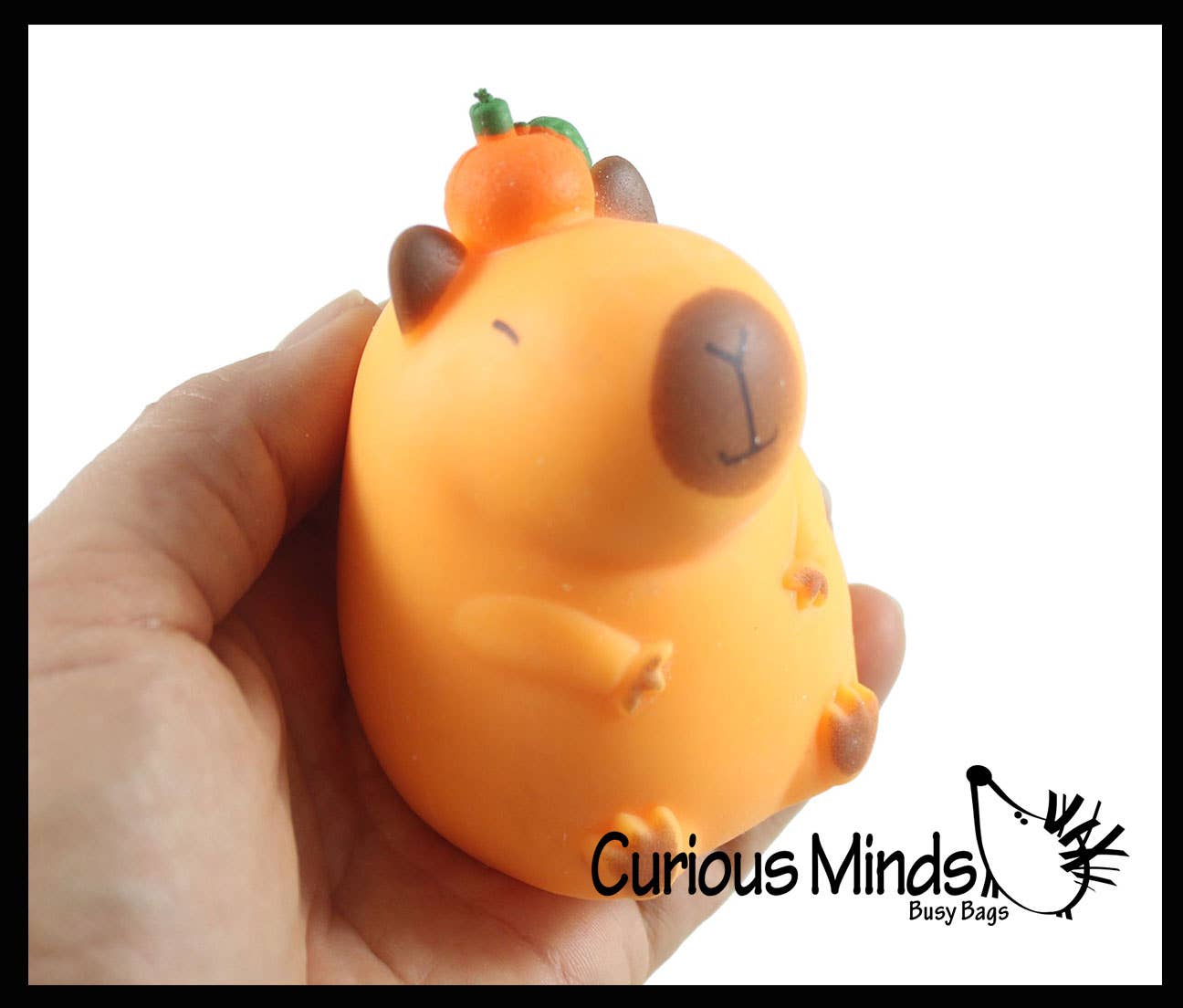 Capybara Stretchy Sand Filled - Lover Sensory Fidget Squishy Toy