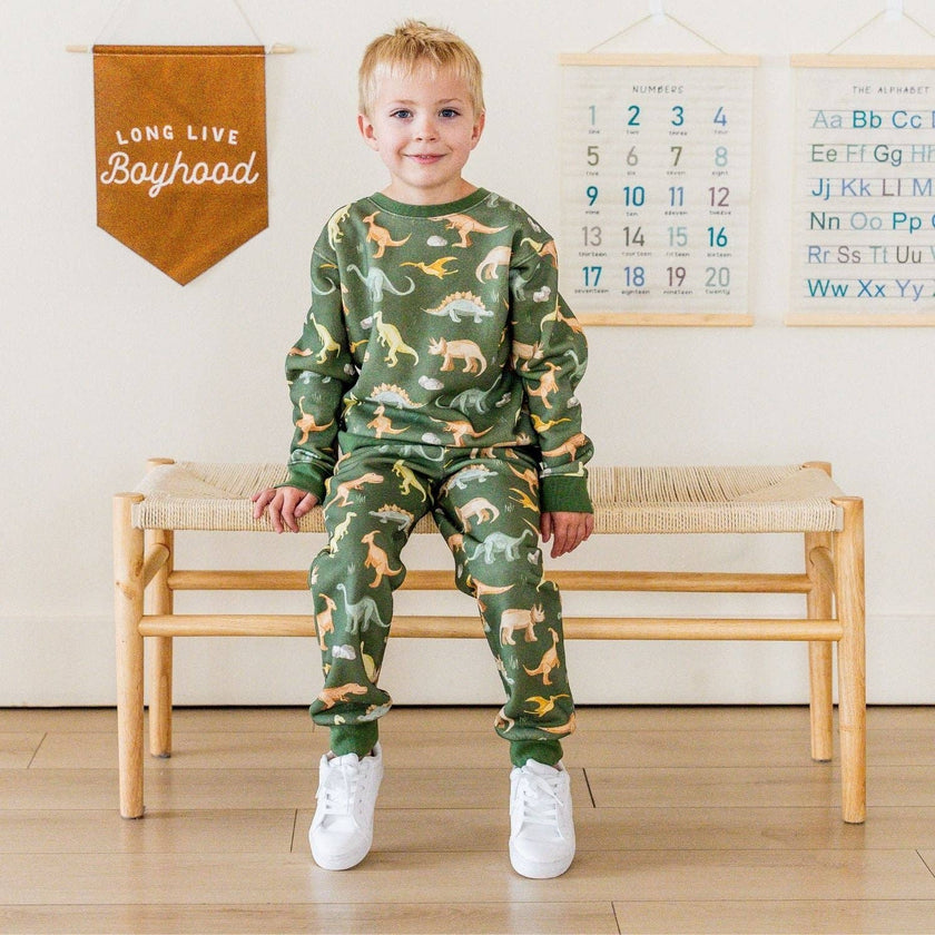 Dinosaurs Rock Sweatshirt - Boys Clothing - Fall/Winter