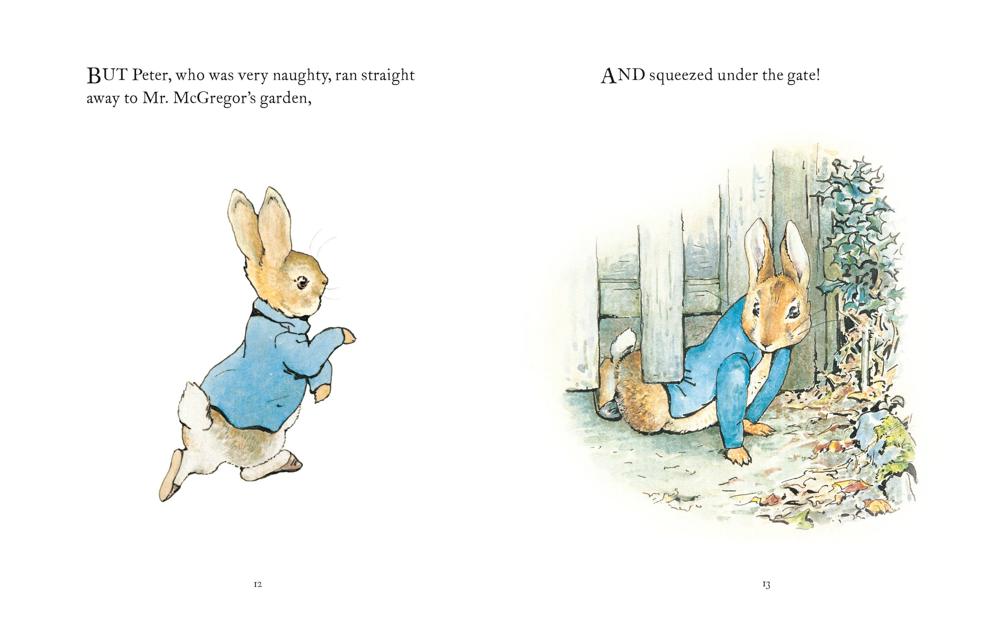 The Tale Of Peter Rabbit Book