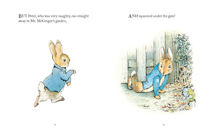 The Tale Of Peter Rabbit Book