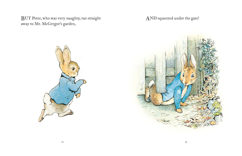 The Tale Of Peter Rabbit Book