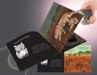 Shine-A-Light: Secrets of Animal Camouﬂage Hardcover Book