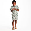 Boys Short Sleeve Cabana Set | Green Stripe Dino
