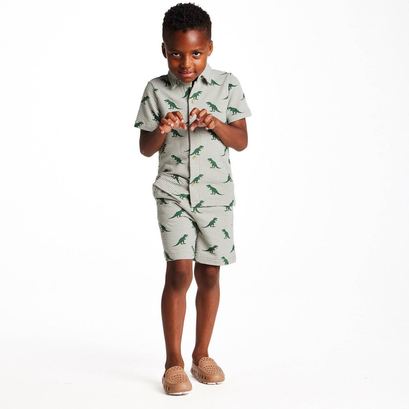 Boys Short Sleeve Cabana Set | Green Stripe Dino