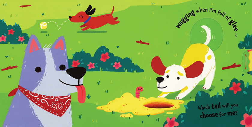Which Tail? Board Book