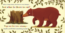 A Year in the Forest with Bear Board Book