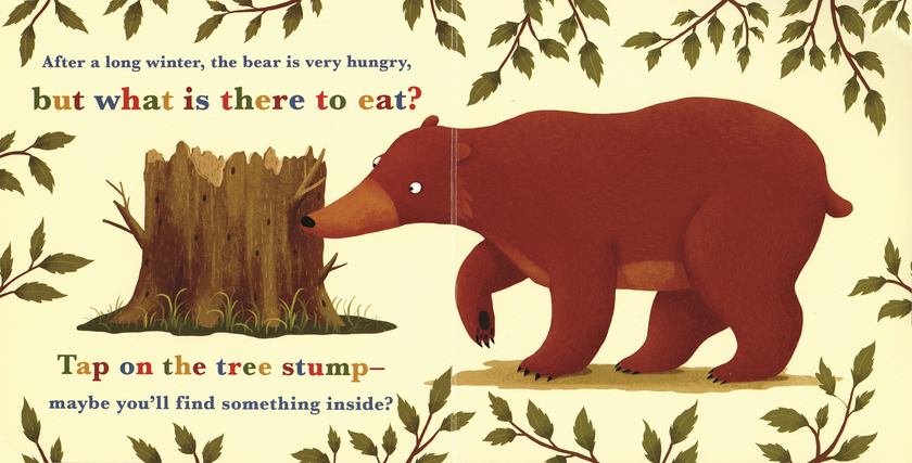 A Year in the Forest with Bear Board Book