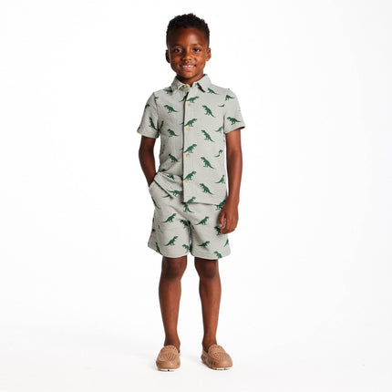 Boys Short Sleeve Cabana Set | Green Stripe Dino