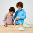 Insects Toy Kit