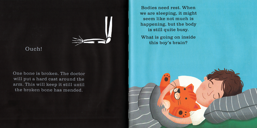Shine-A-Light, The Human Body Hardcover Book