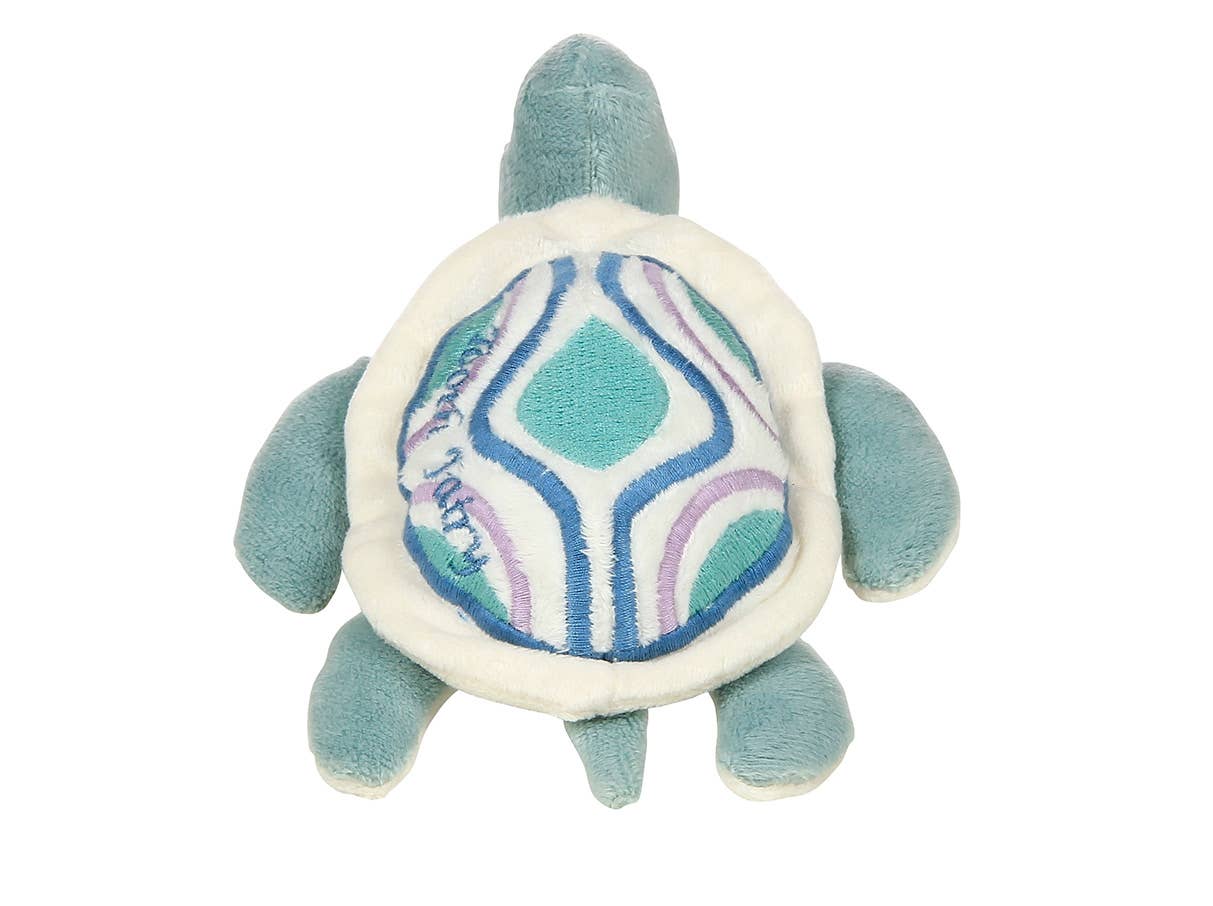Scooter the Sea Turtle Tooth Fairy
