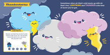 Little Genius Weather Board Book