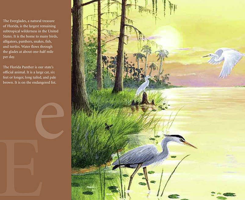A FLORIDA Alphabet picture book: S is for Sunshine